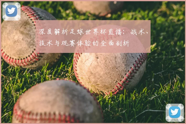 深度解析足球世界杯直播:战术、技术与观赛体验的全面剖析